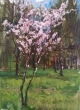fominov-vladimir-viktorovich-sakura-holst-maslo-40h30-2025g