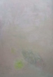jabloko-zheltoe.-hm.-100h70.-2025