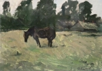 loshad.-km.-35h49.-1986