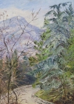 doroga-v-gorah.-70h50.-hkm.-1988