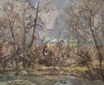 v-konstantinovskom_parke.km.50h60.1979
