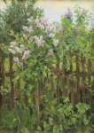 Ю.П. Кугач. Куст сирени. Км. 22×16, 1985