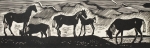 buchkin-nochnoe-ksil-14-43-5-web