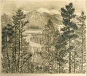 butrova-marija-nikolaevna-zimnij-les.-ofort-19h22