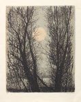 davydov-lunnyy-peyzazh-12-lit-50-40-1974-web