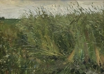savostjanov-rozh