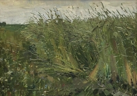 savostjanov-rozh