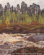 galahov-porog-v-karelii-cbo-50-40-1975-b