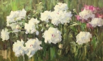v.n.-semenov.-belye-piony.-hm.-60h100.-2013