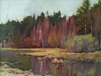 fominov-vladimir-viktorovich-vesna-na-valaame-karton-maslo-47h70-2011g